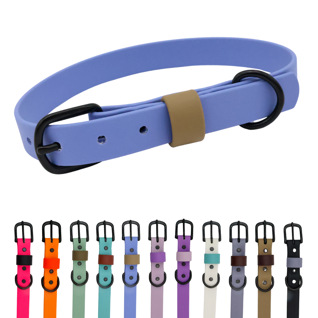 Waterproof & Odor-Resistant Multi-Color Dog Collar