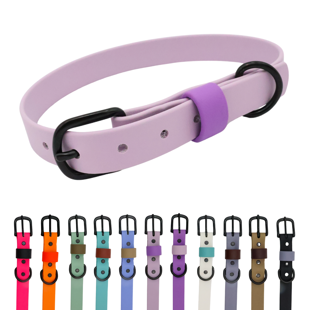 Waterproof & Odor-Resistant Multi-Color Dog Collar