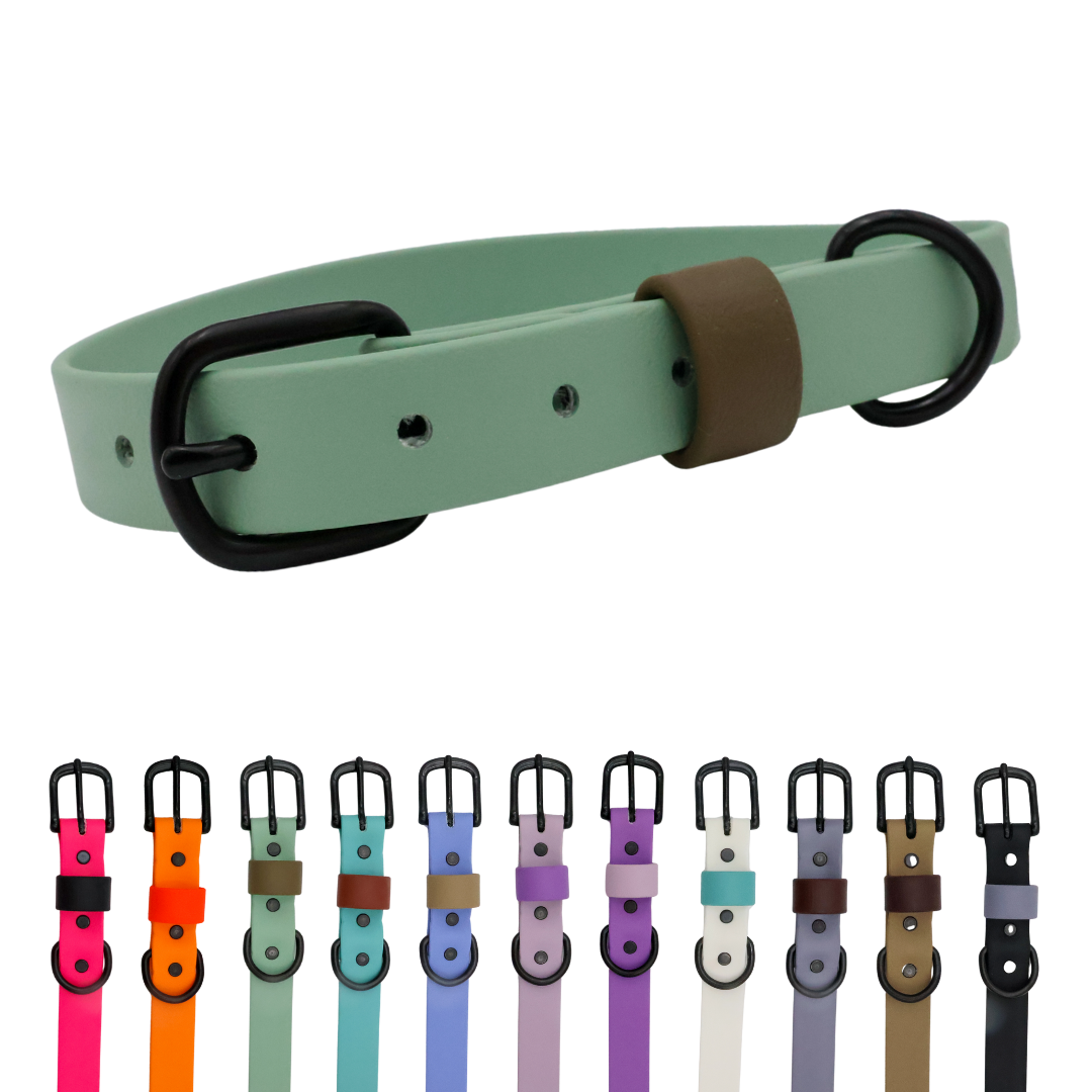Waterproof & Odor-Resistant Multi-Color Dog Collar
