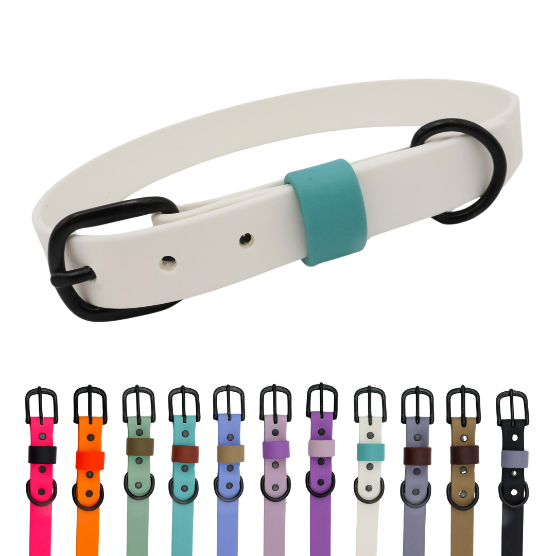 Waterproof & Odor-Resistant Multi-Color Dog Collar