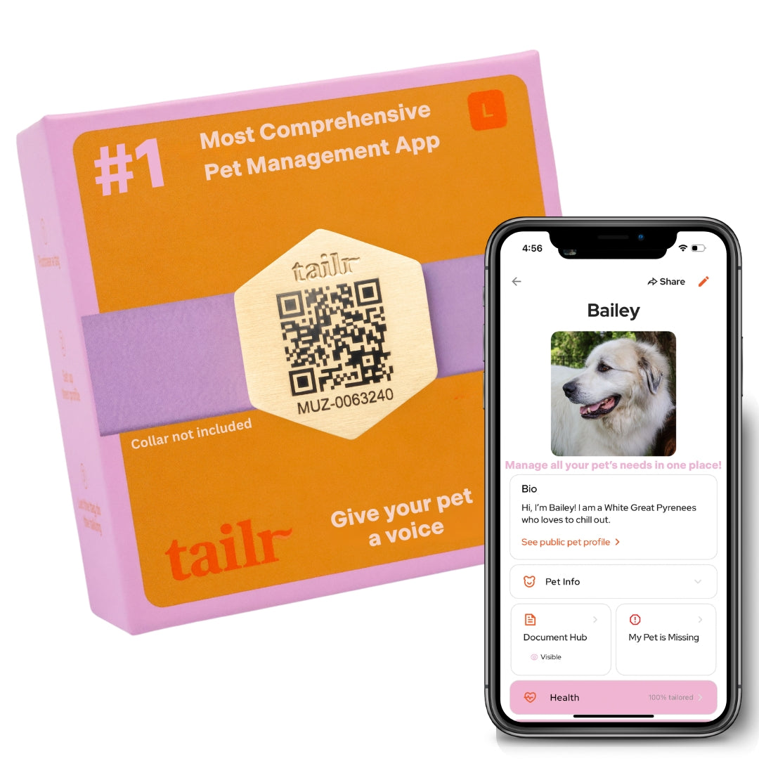 Tailr Slide-On QR Code Pet ID Tag