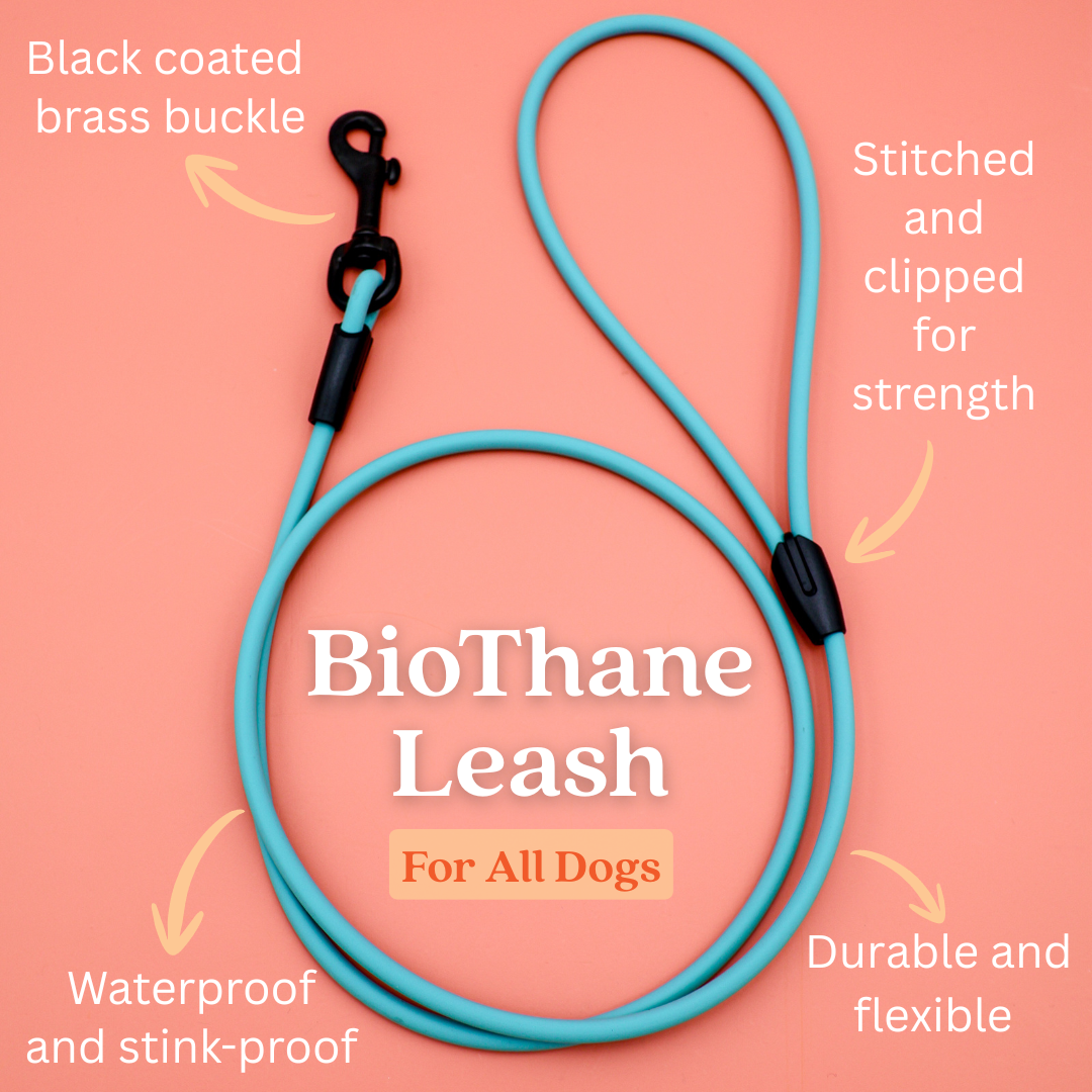 4 ft. BioThane Rope Leash