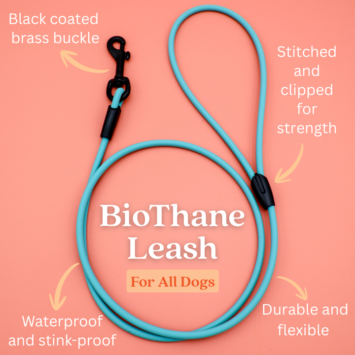 4 ft. BioThane Rope Leash