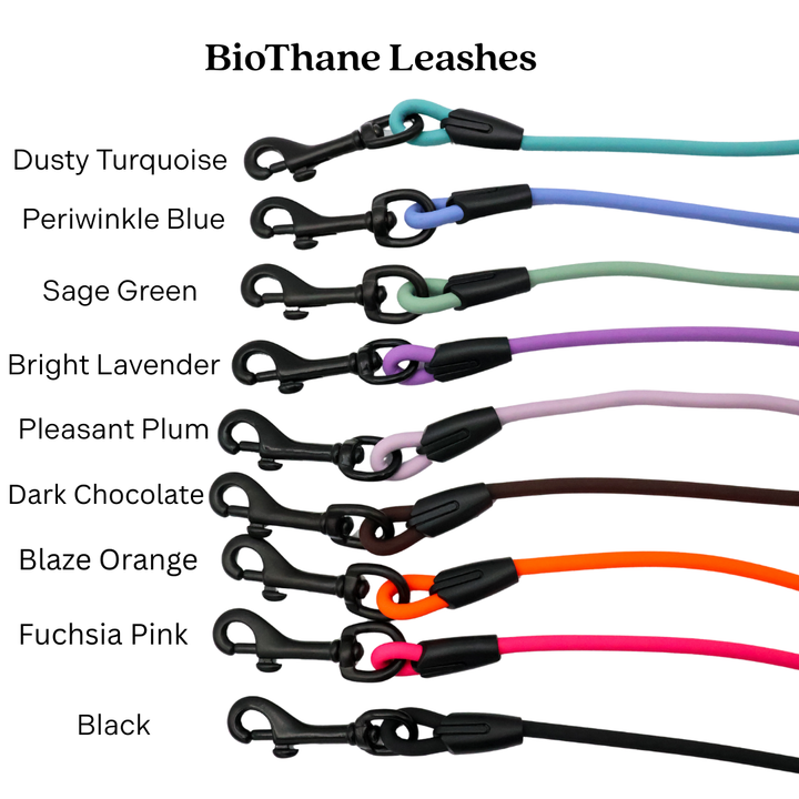 4 ft. BioThane Rope Leash