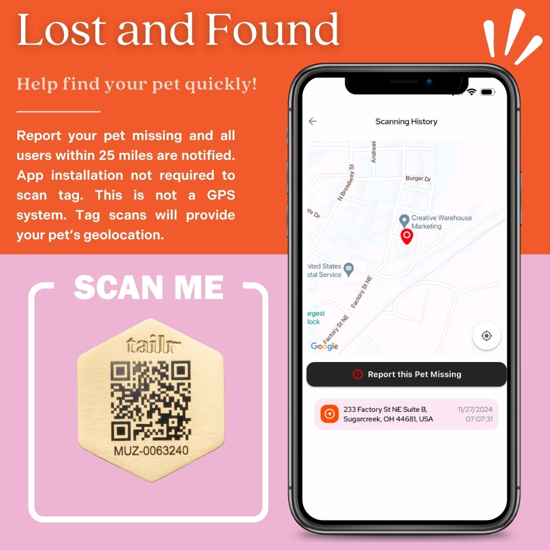 Tailr Classic QR Code Pet ID Tag