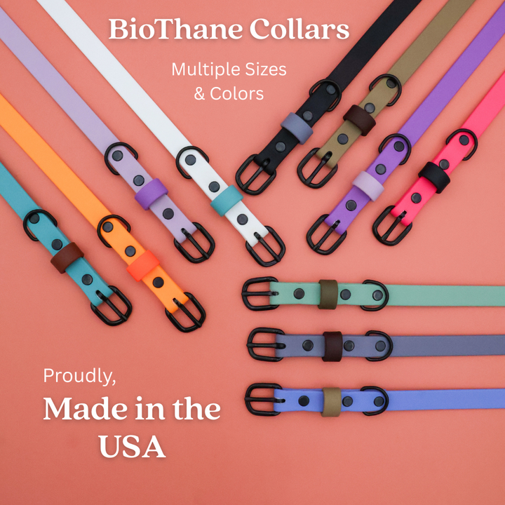 Waterproof & Odor-Resistant Multi-Color Dog Collar