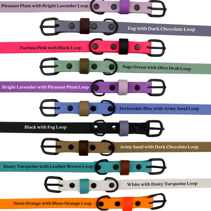 Waterproof & Odor-Resistant Multi-Color Dog Collar