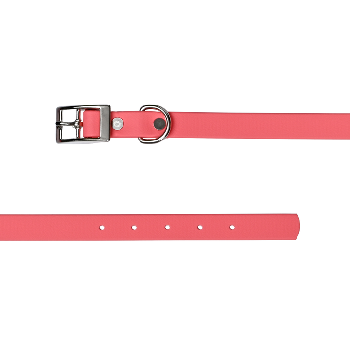 Tailr Premium BioThane Pet Collar