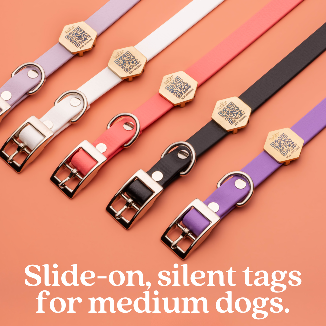 Tailr Slide-On QR Code Pet ID Tag