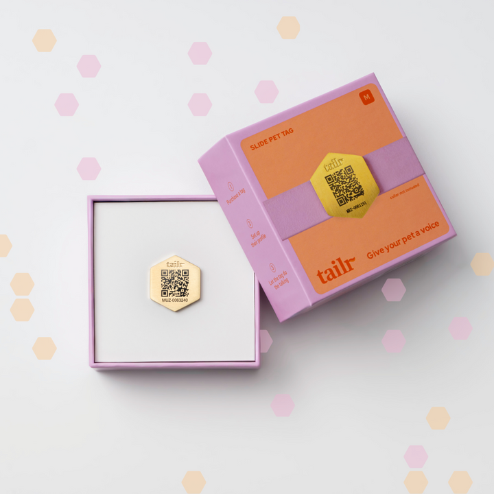 Tailr Slide-On QR Code Pet ID Tag