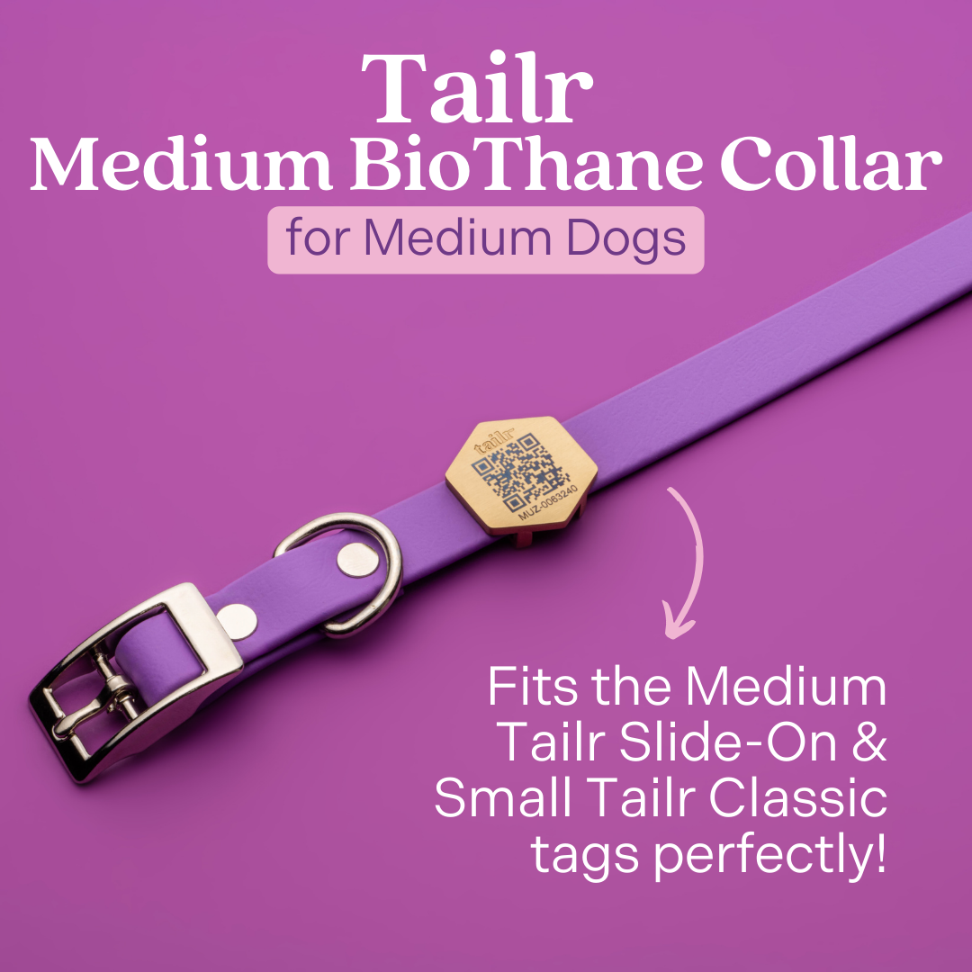 Tailr Premium BioThane Pet Collar