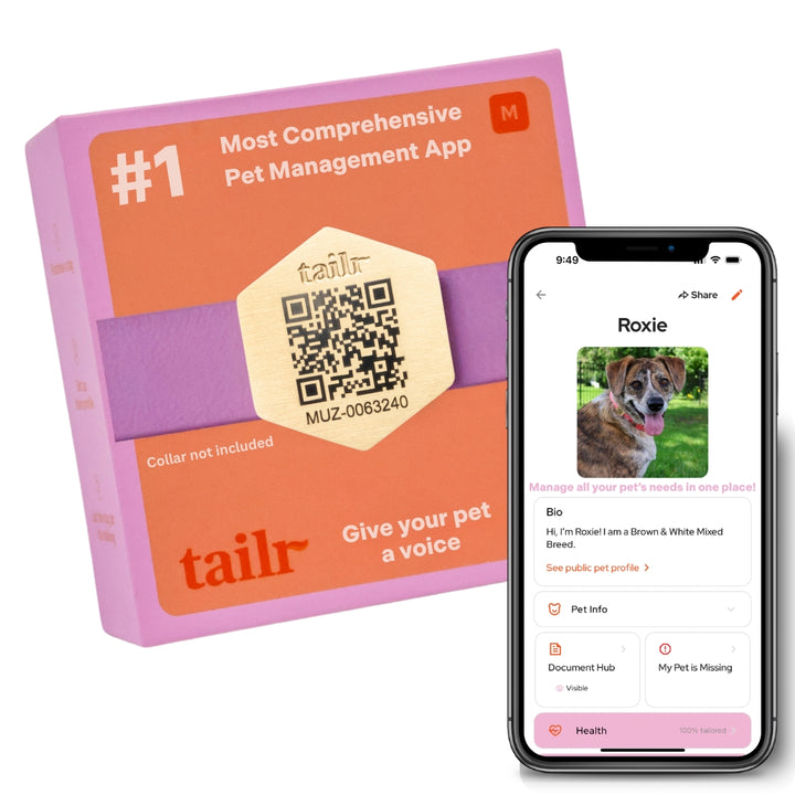 Tailr Slide-On QR Code Pet ID Tag