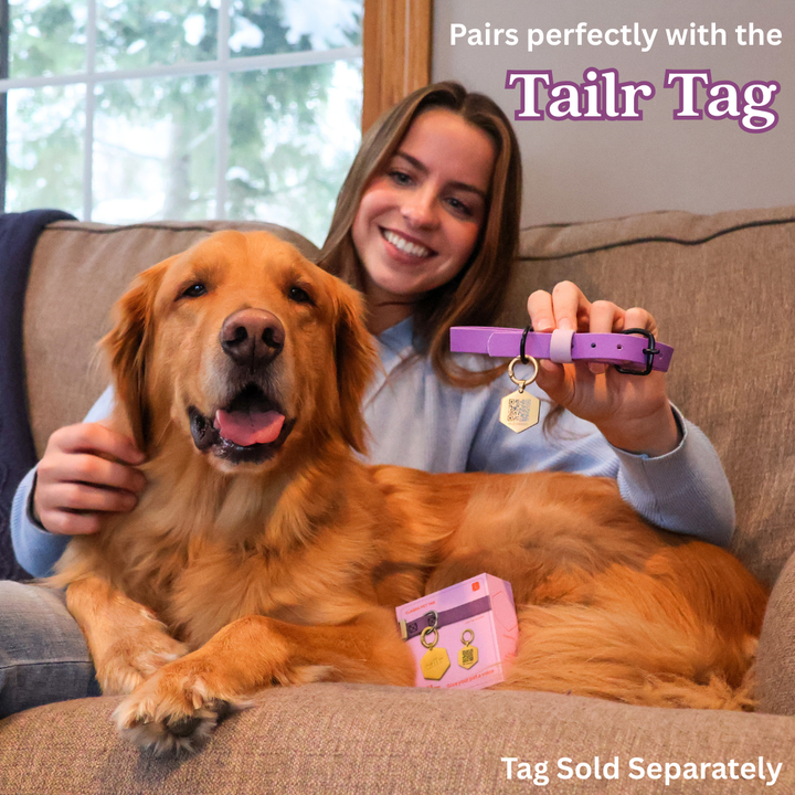Waterproof & Odor-Resistant Multi-Color Dog Collar