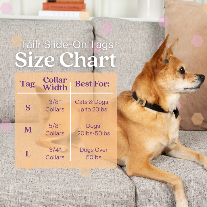 Tailr Slide-On QR Code Pet ID Tag