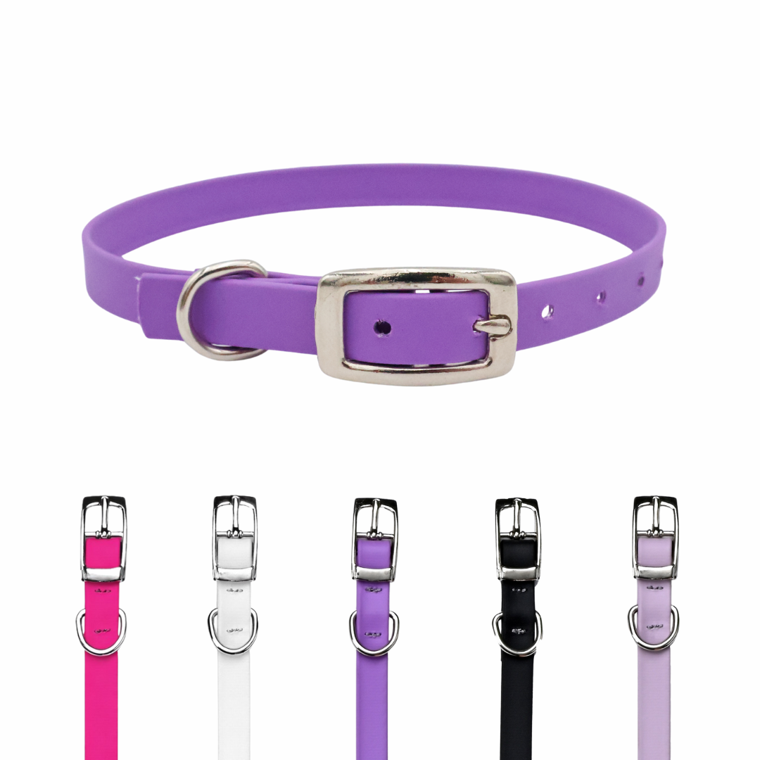 Waterproof & Odor-Resistant Collar