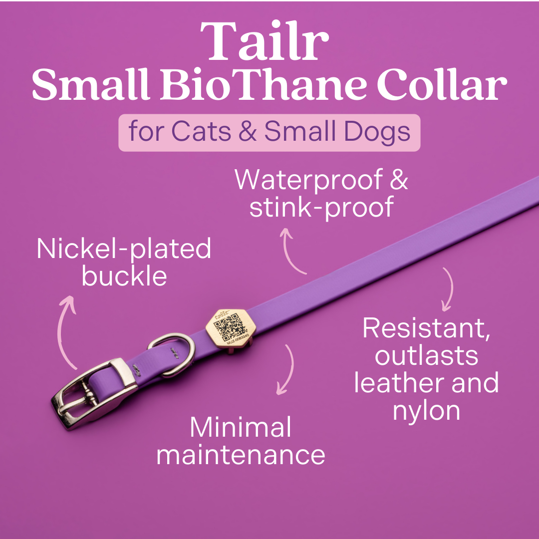 Tailr Premium BioThane Pet Collar