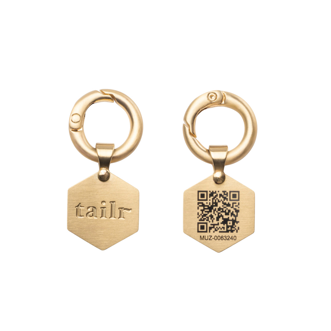 Tailr Small Classic QR Code Pet ID Tag