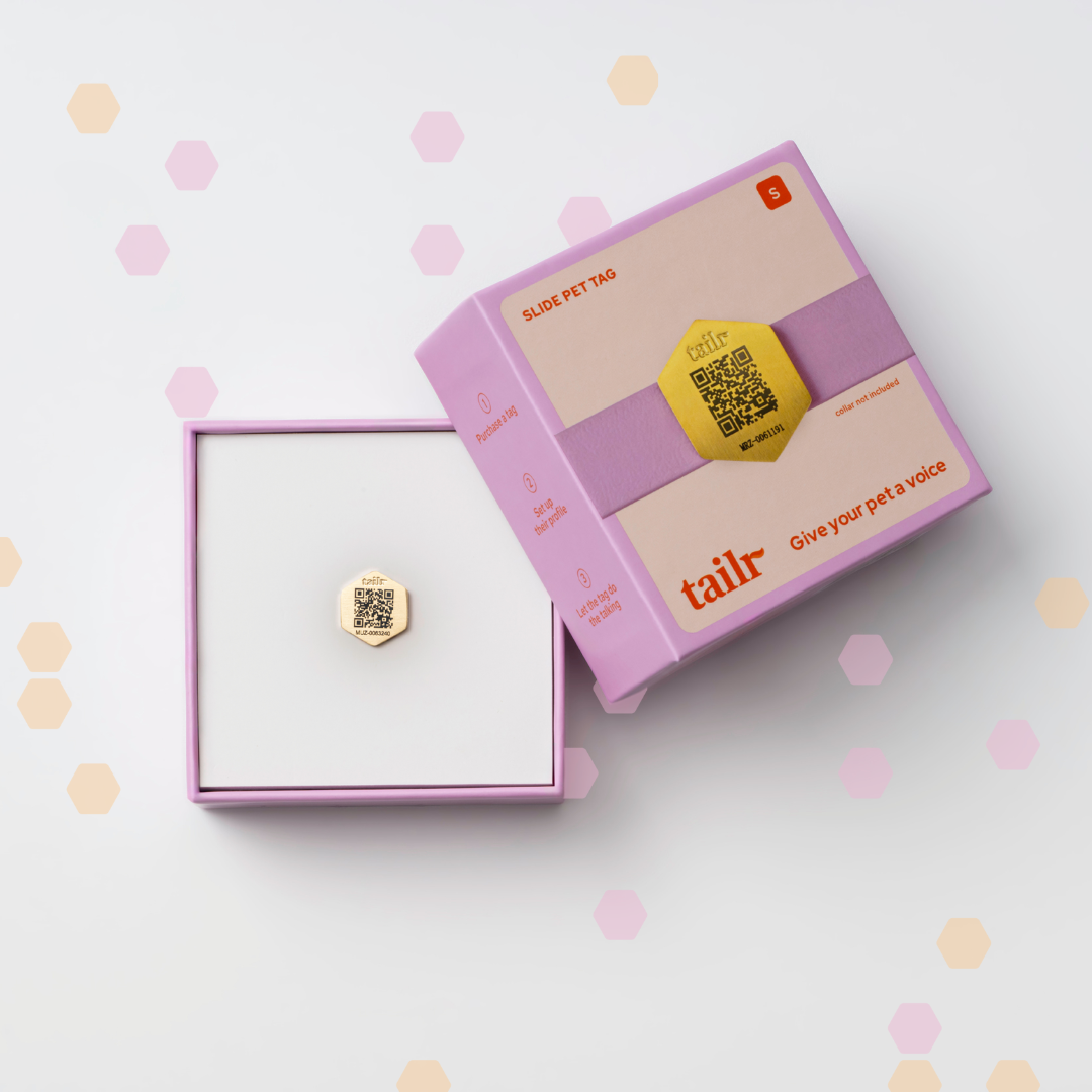 Tailr Slide-On QR Code Pet ID Tag