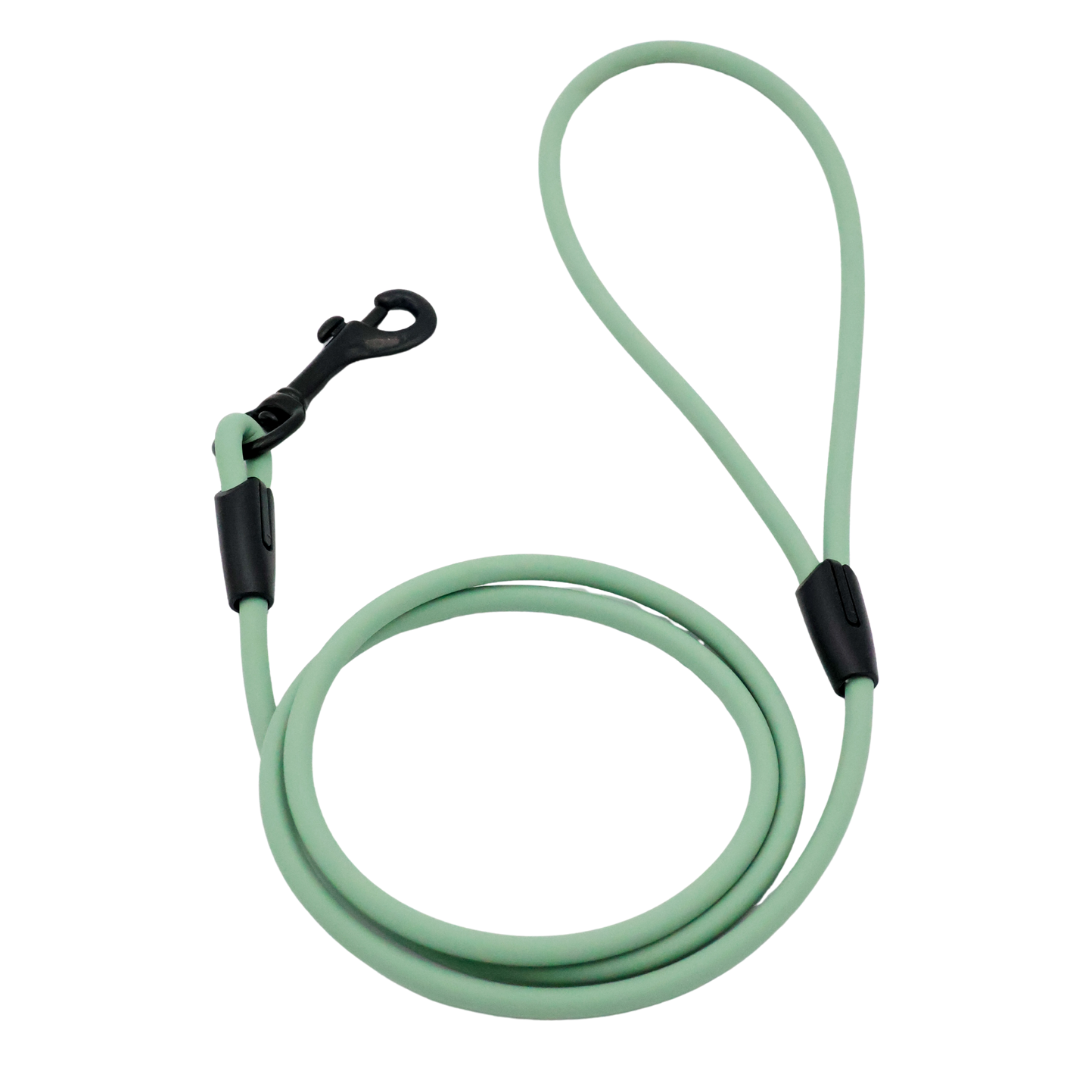 4 ft. BioThane Rope Leash