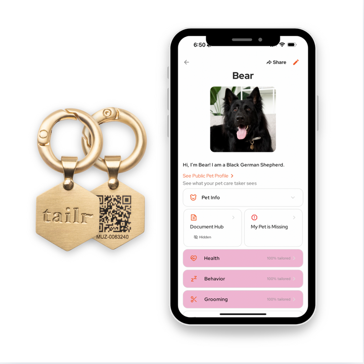 Tailr Large Classic QR Pet ID Tag
