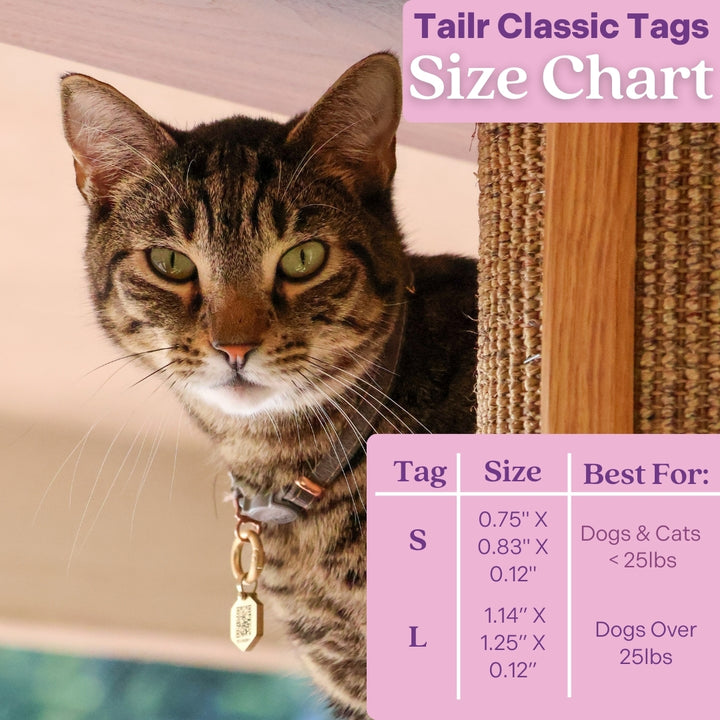 Tailr Classic QR Code Pet ID Tag