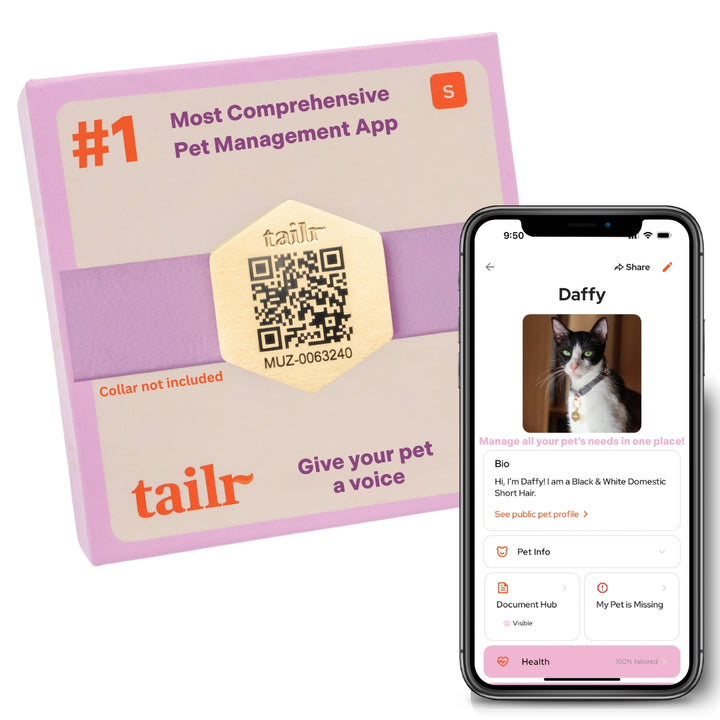 Tailr Slide-On QR Code Pet ID Tag