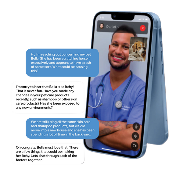 Tailr Vet Chat
