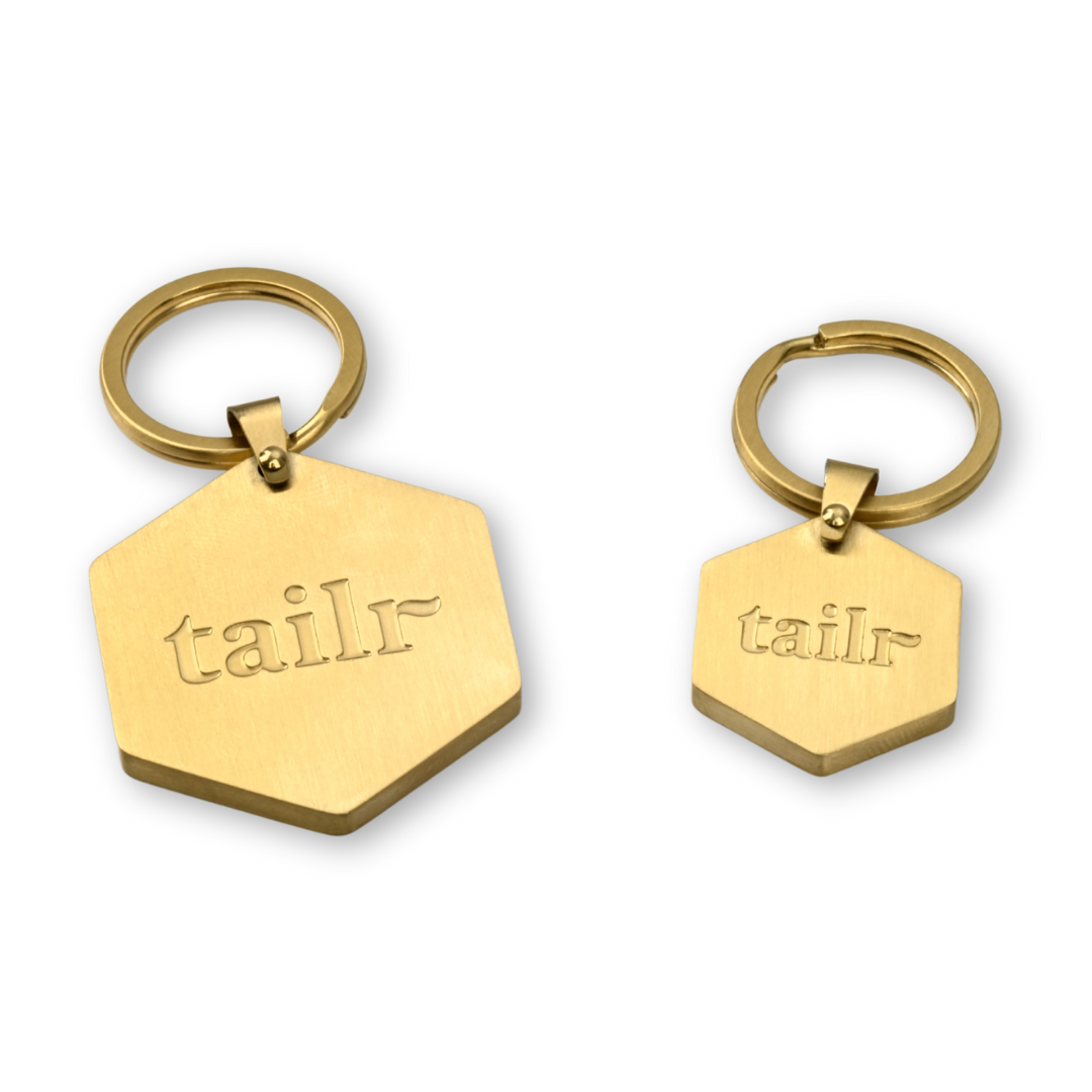 Tailr Classic QR Code Pet ID Tag