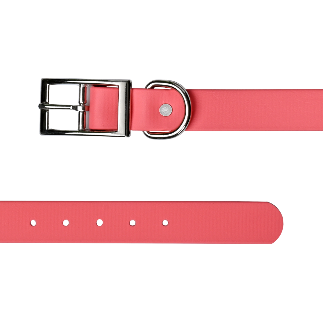 Tailr Premium BioThane Pet Collar