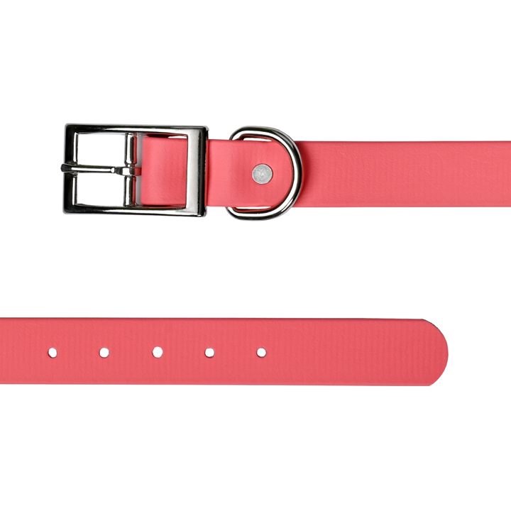 Tailr Premium BioThane Pet Collar
