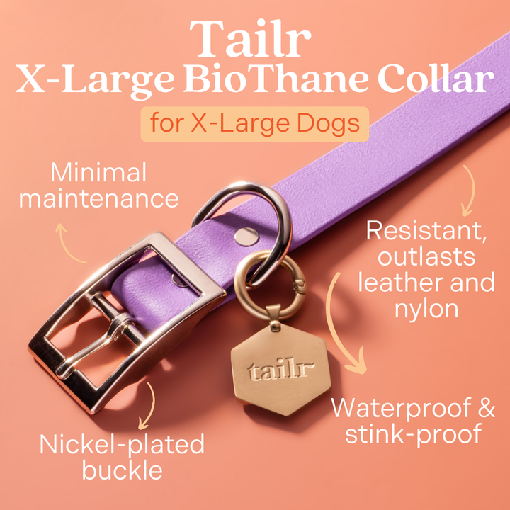 Tailr Premium BioThane Pet Collar