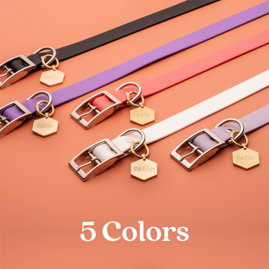 Tailr Premium BioThane Pet Collar