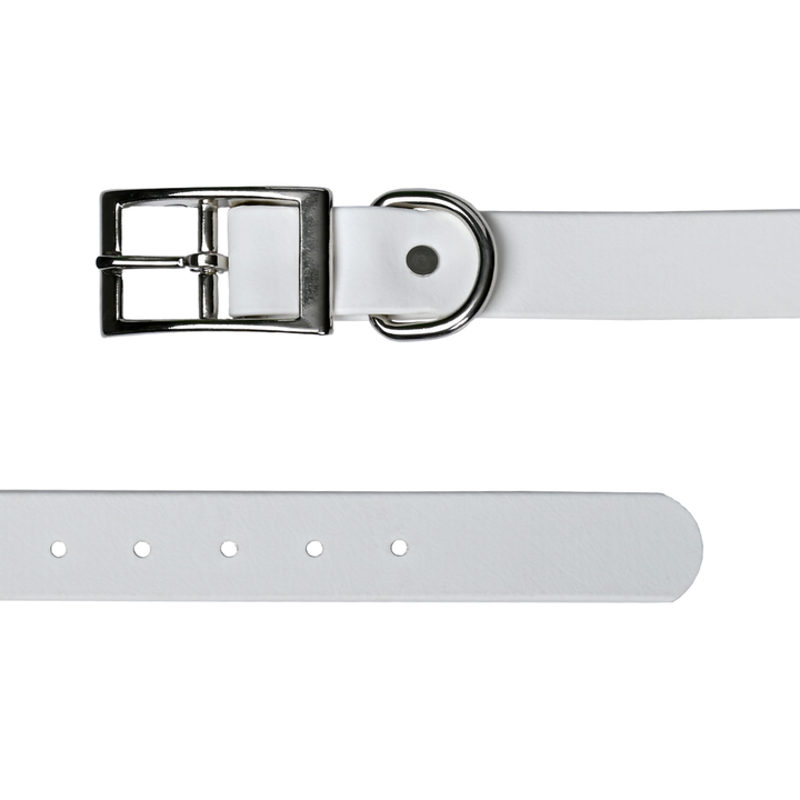 Tailr Premium BioThane Pet Collar