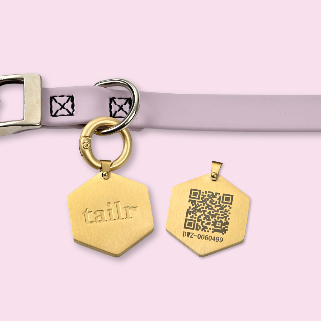 Large Classic Tag with QR Code For Pets