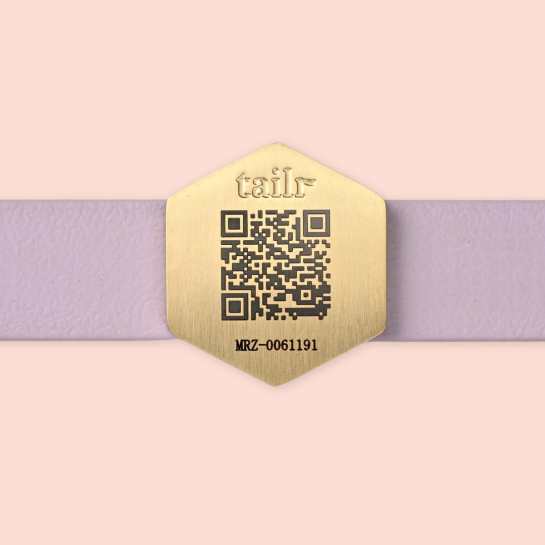 Large Slide Tag With QR Code For Pets