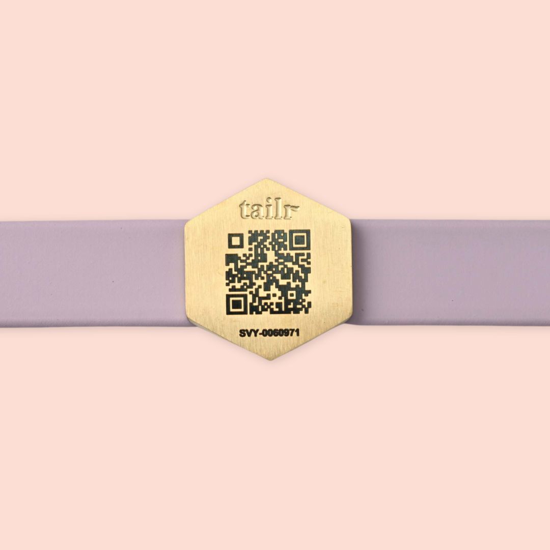 Medium Slide Tag With QR Code For Pets