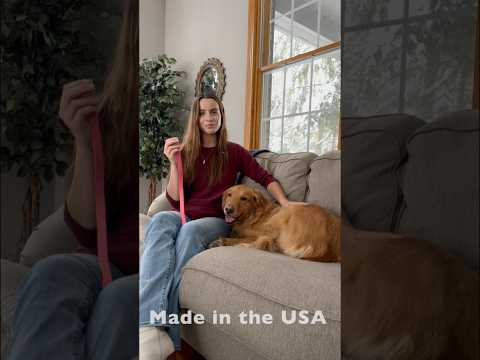 Waterproof & Odor-Resistant Collar